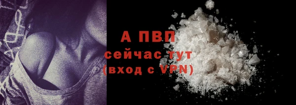 COCAINE Белокуриха